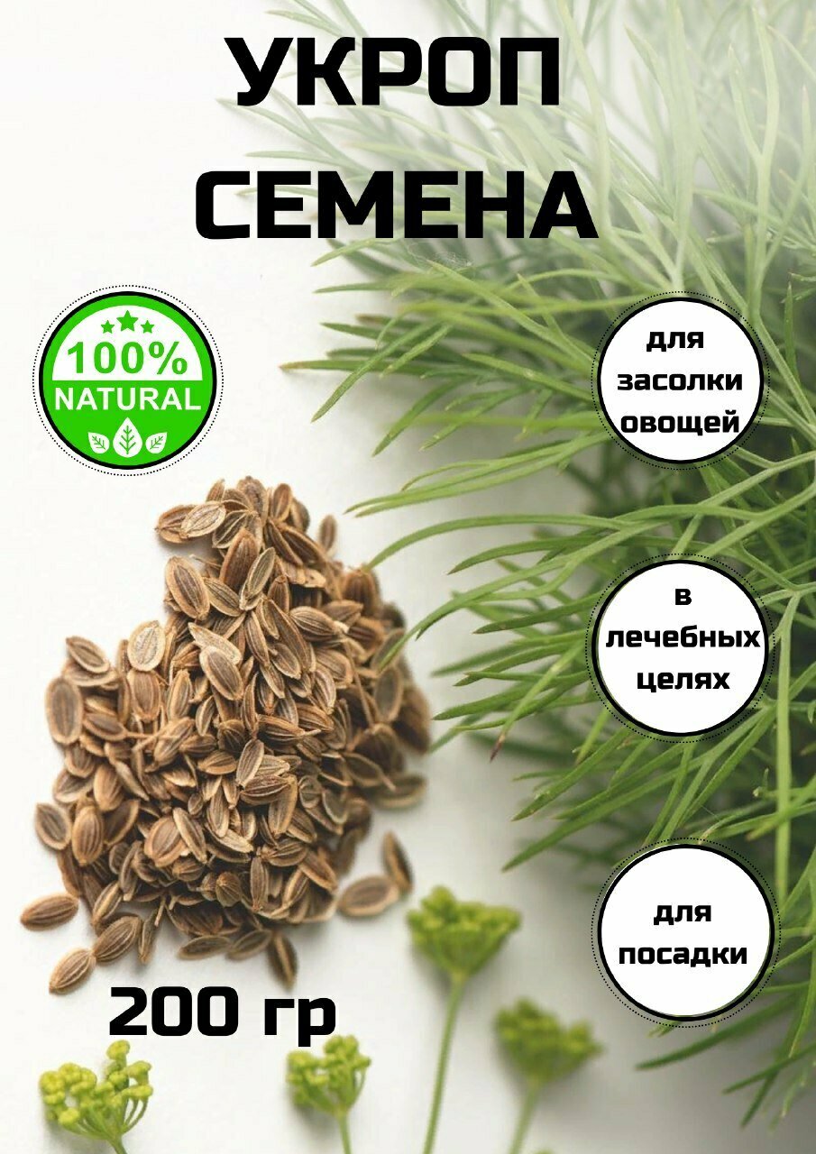 фото Семена сушеного укропа для заваривания, семя укропное, с Алтайских полей, 200 гр