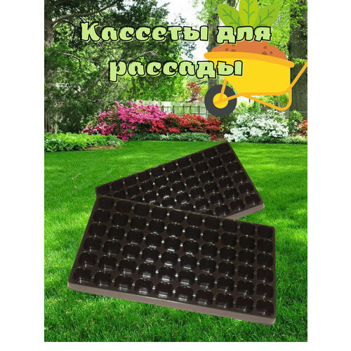 Кассеты для рассады , 2 шт, пластик, 60 ячеек, 535х325х50