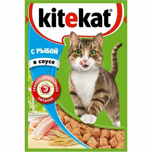 Влажный корм для кошек Kitekat, c сочными кусочками рыбы в соусе, 85 г