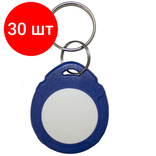 брелок mifare 1k classic novicam mt10 100 шт Комплект 30 штук, Брелок Tantos Mifare 13.56МГц 1K, сине-белый