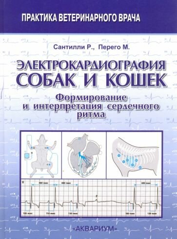 Электрокардиография собак и кошек. Формирование и интерпретация сердечного ритма - фото №2