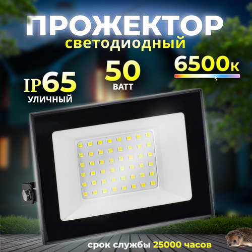 Прожектор светодиодный уличный 50 Вт 6500К IP65