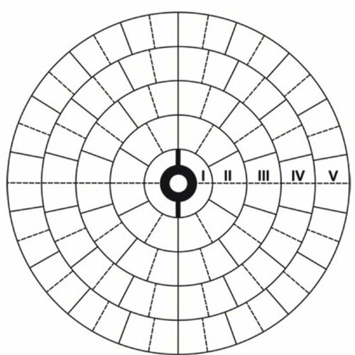 Мишень для пристрелки дробовых ружей 100-дольная (Зернова) 800*800мм 20 шт