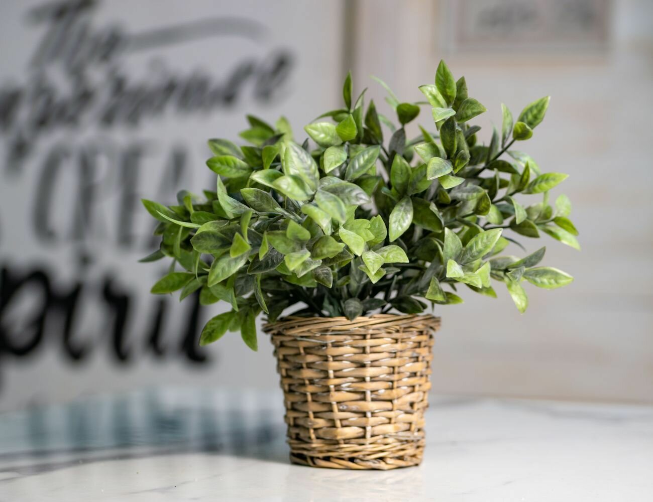 фото Искусственное растение в горшке эвкалиптовая коллекция - гомфоцефале, 26 см, Koopman International 317002290-6