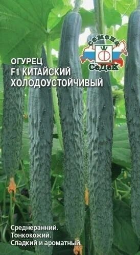 фото Огурец Китайский Холодоустойчивый 0,2г