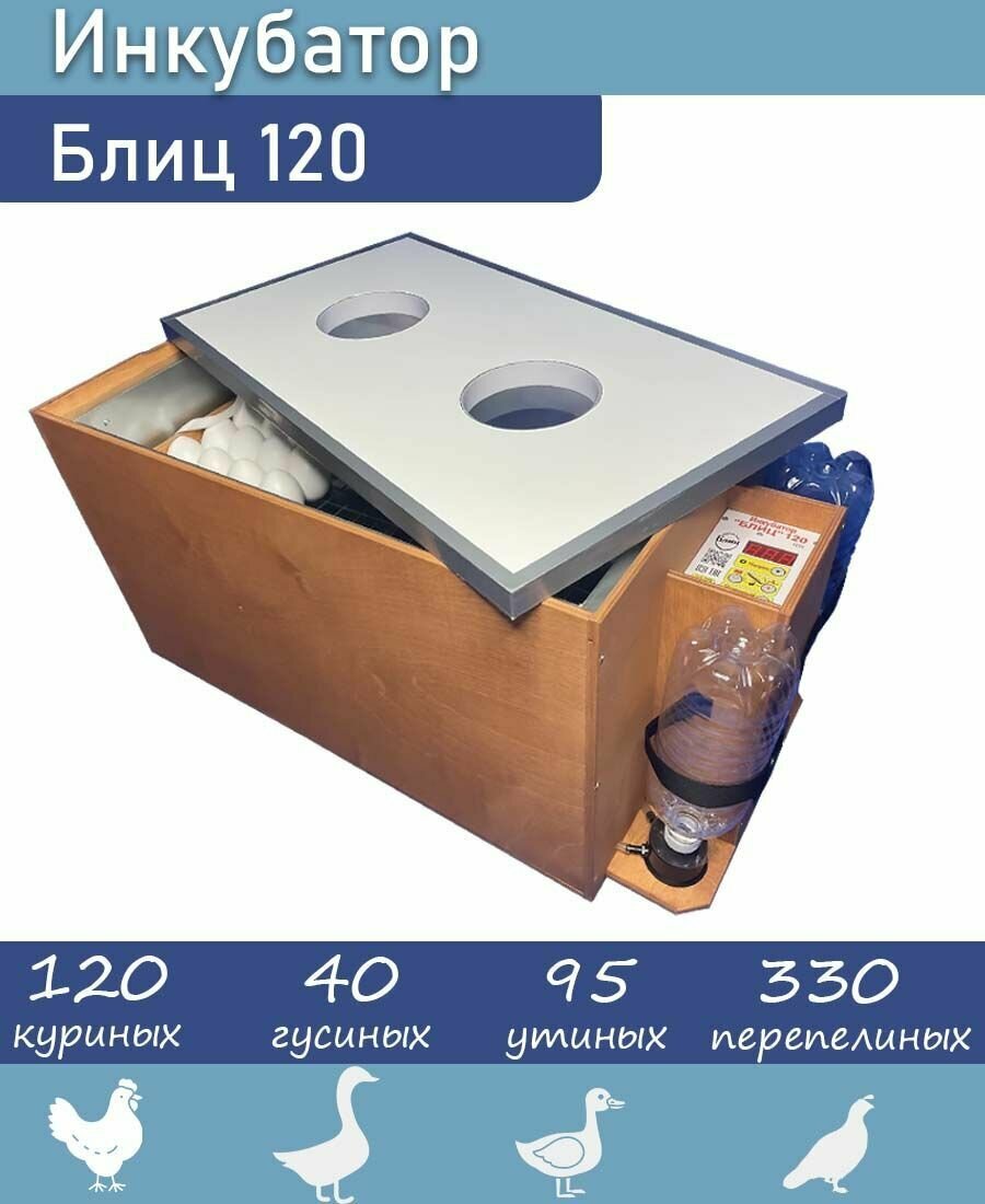 Инкубатор Блиц для 120 куриных яиц, автоматический переворот, домашний для птиц и цыплят, цифровой