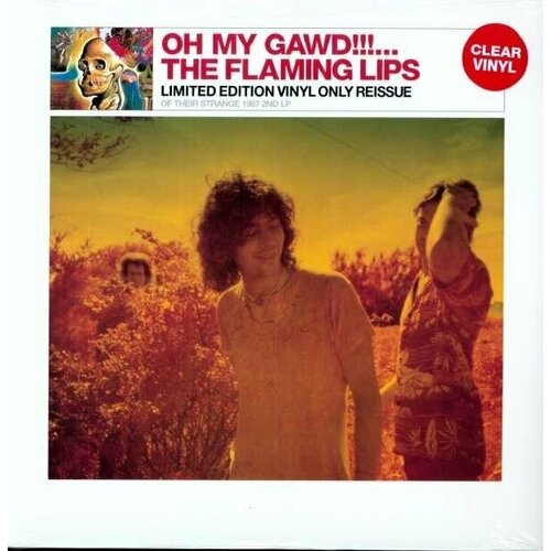 Виниловая пластинка The Flaming Lips: Oh My Gawd (Limited Edition) / USA