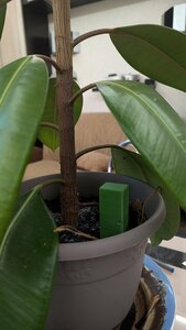 Основная фотография от вендора