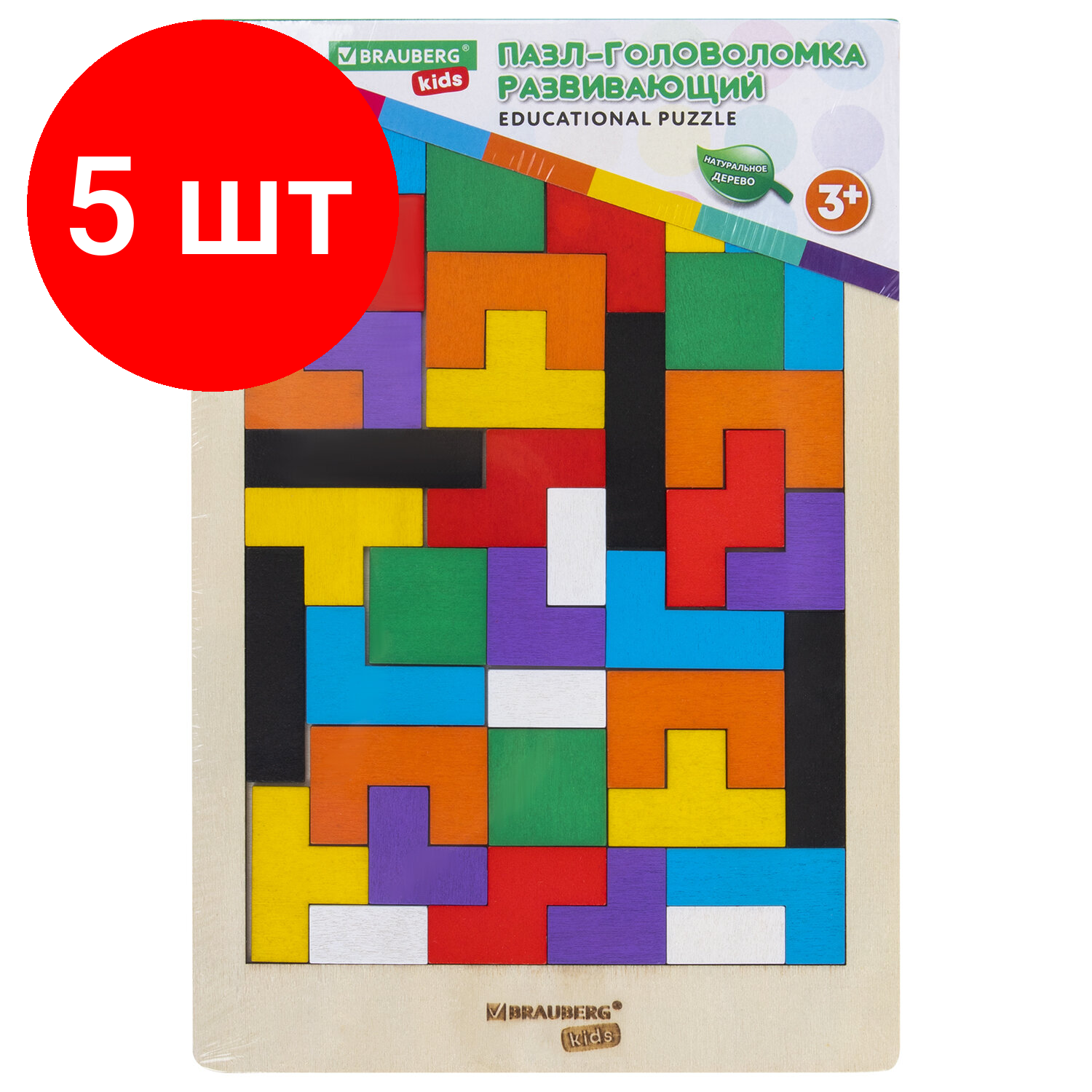 Комплект 5 шт, Головоломка развивающая деревянная "Тетрис", цветной, 18х27 см, BRAUBERG KIDS, 665262