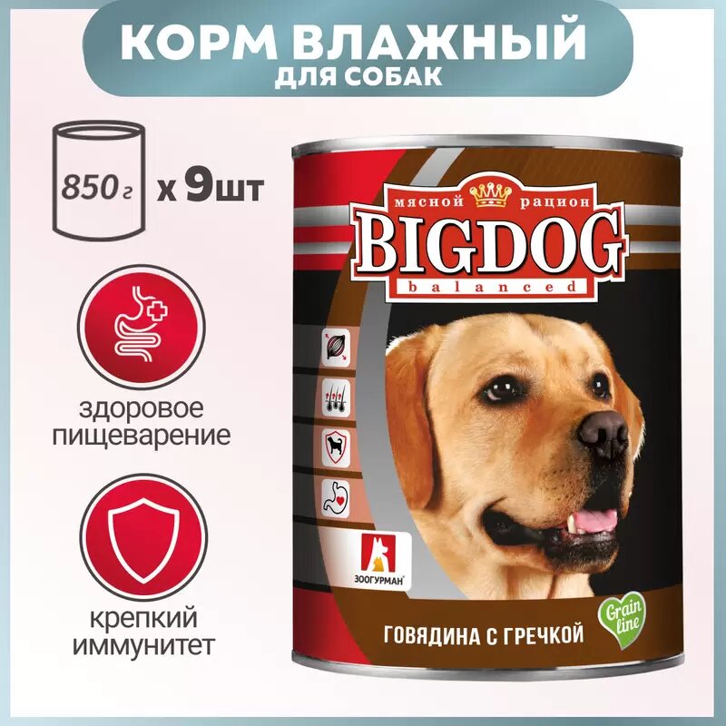 Зоогурман BIG DOG консервы для взрослых собак говядина с гречкой 850 гр х 9 шт