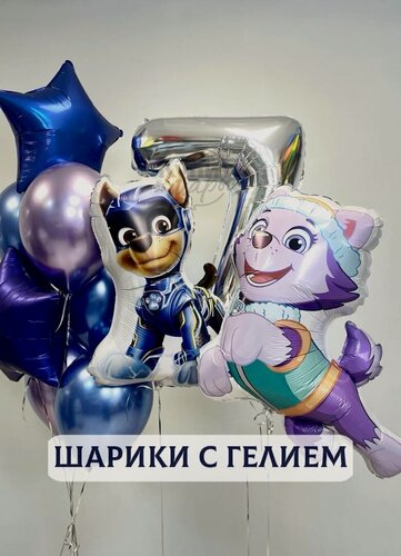 Изображение товара Воздушные шары с гелием, шарики воздушные "Щенячий патруль" №2364