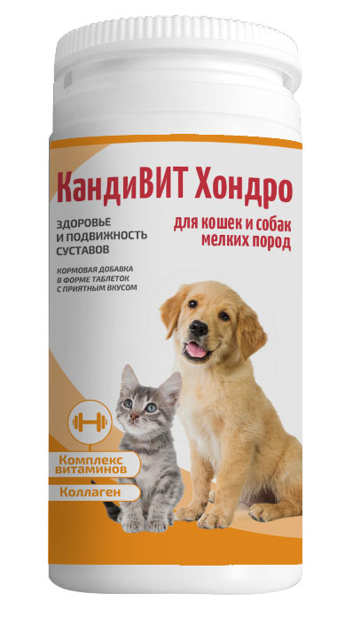 Candioli КандиВИТ Хондро Кормовая добавка для поддержания здоровья и подвижности суставов для собак и кошек, 50 таб - фото №1