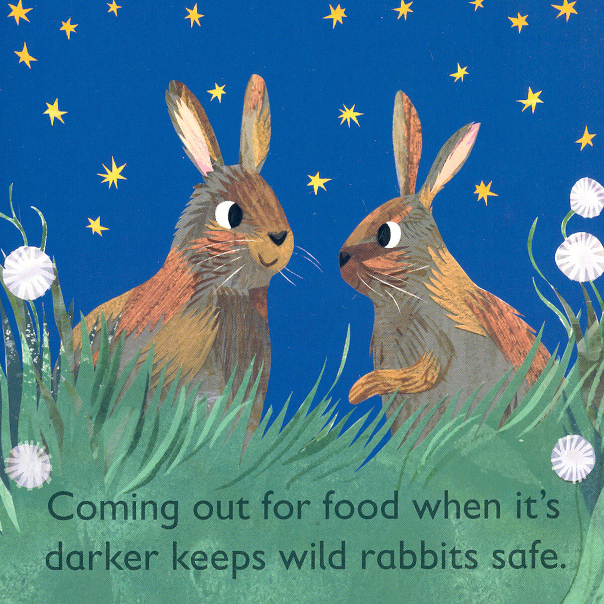 R is for Rabbit (Katherine Mansfield) - фото №2