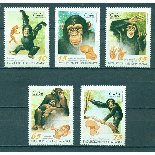 Почтовые марки Куба 1998г. Эволюция шимпанзе Обезьяны, Шимпанзе MNH