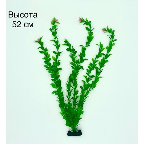 Растение для аквариума искусственное Людвигия зеленая 52см