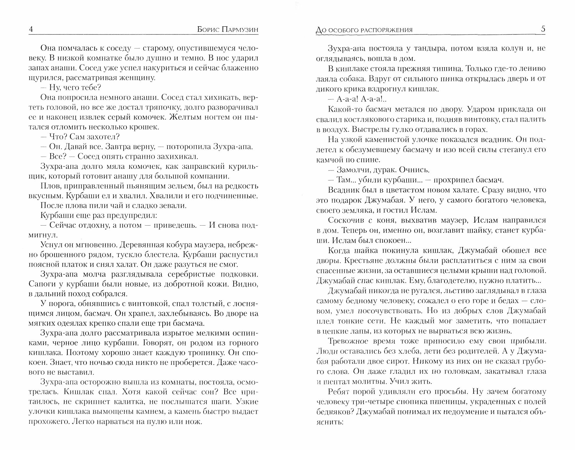 До особого распоряжения (Пармузин Борис Сергеевич) - фото №8