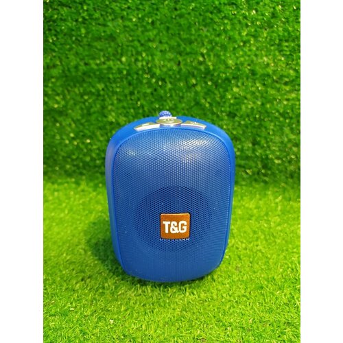 Беспроводная колонка TG TG609 с функцией HandsFree 82400₽