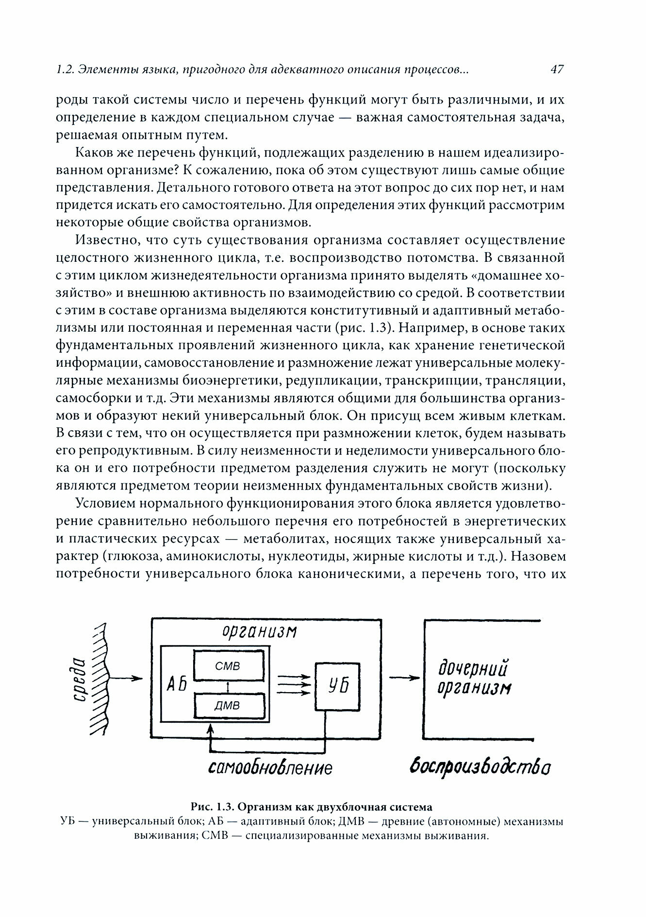 Структурные основы биологии развития и трехмерной гистологии. Новый подход к изучению канцерогенеза - фото №4