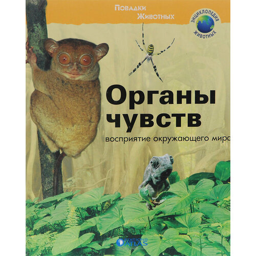 Органы чувств. Восприятие окружающего мира