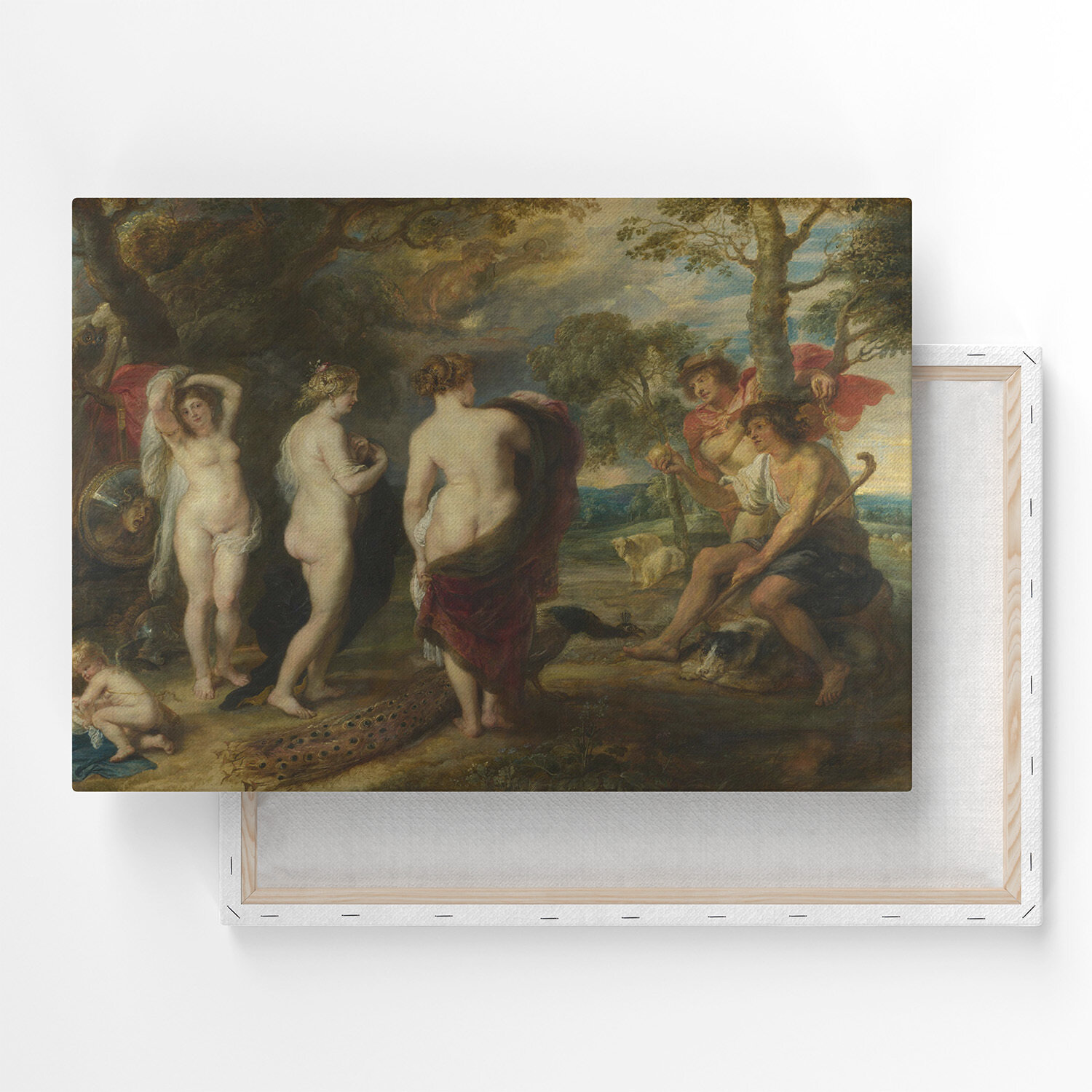 Картина на холсте, репродукция / Питер Пауль Рубенс - The Judgement of Paris / Размер 30 x 40 см