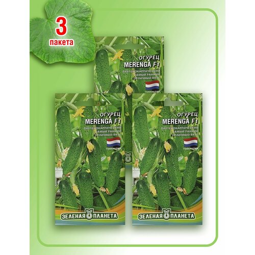Огурец Меренга F1 (3 пакета по 8 семян)