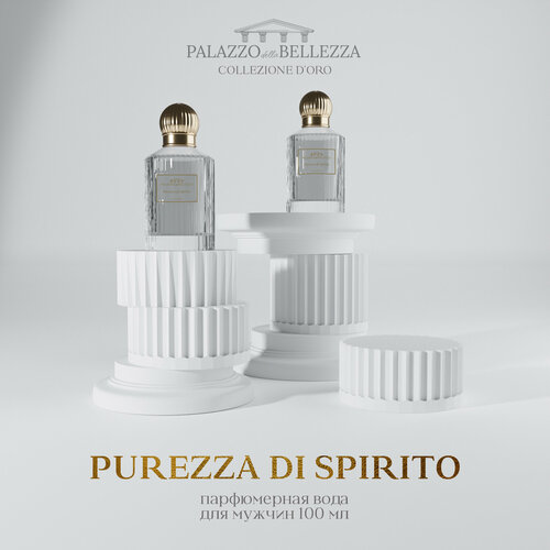 PALAZZO della BELLEZZA Парфюмерная вода мужская Purezza di Spirito 100 мл