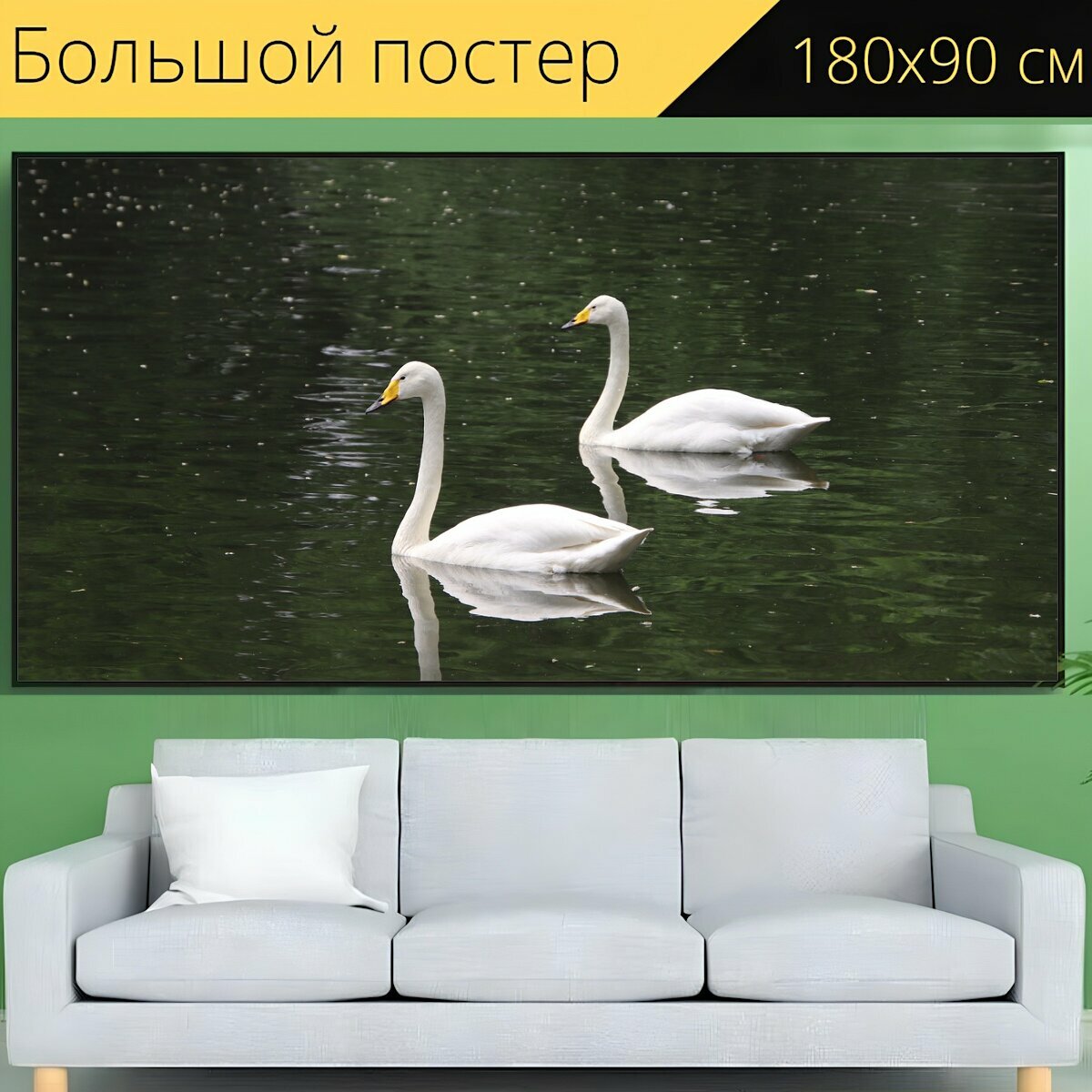 Большой постер "Лебеди, пара, пруд" 180 x 90 см. для интерьера