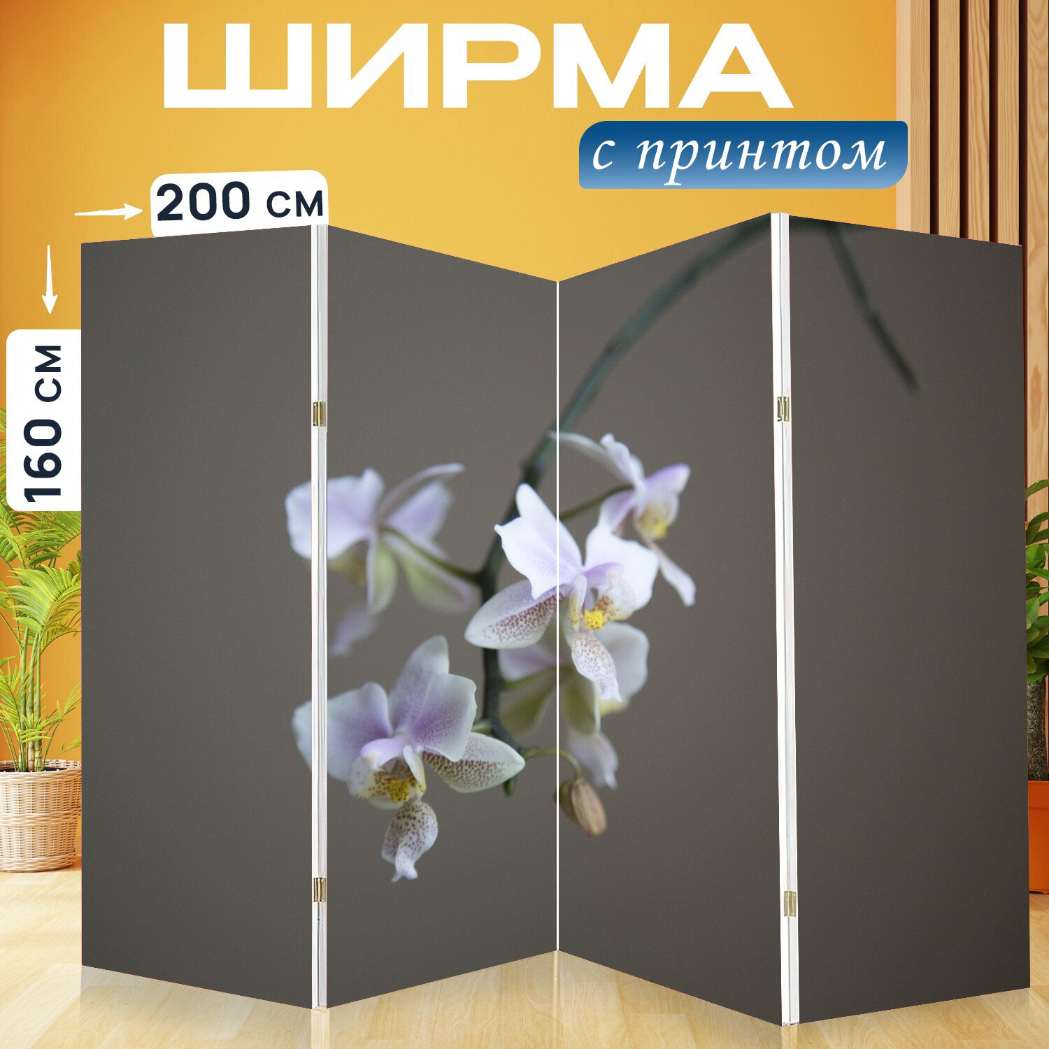 Ширма перегородка с принтом "Орхидея, розовая орхидея, цветок" на холсте - 200x160 см. для зонирования, раскладная