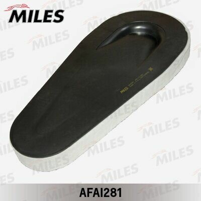 Фильтр воздушный BMW F10 F07 F01 2.0D 3.0D Miles AFAI281