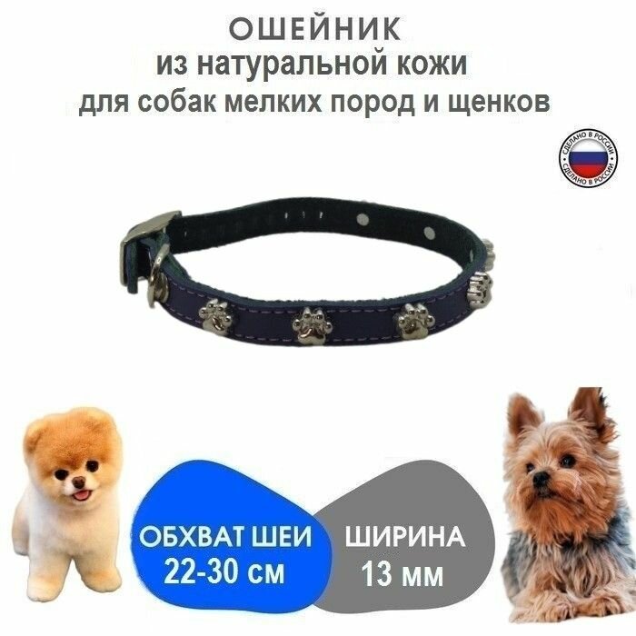 фото Ошейник стильный для мелких пород и щенков, обхват 22-30 см, длина 32 см/ширина 1.3 см, фиолетовый