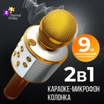 Микрофон для караоке Eternal Friday, Bluetooth, FM, microSD, цвет золото - изображение