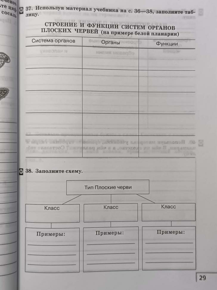 Биология. 8 класс. Многообразие живых организмов. Животные. Рабочая тетрадь к уч. Н. И. Сонина. - фото №2