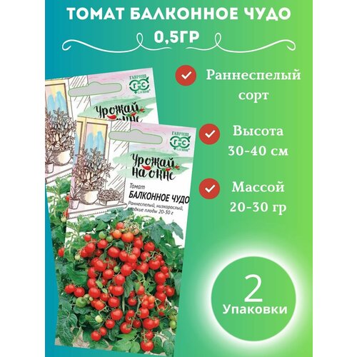 Семена Томат Балконное чудо 2 шт семена томат балконное чудо 20 шт 2 шт