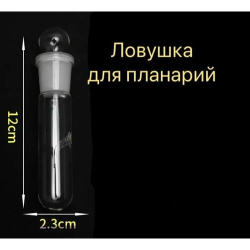 Ловушка для планарий