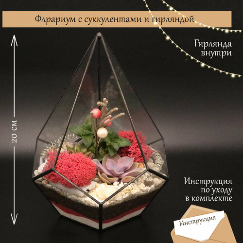 Флорариум с суккулентами и гирляндой 