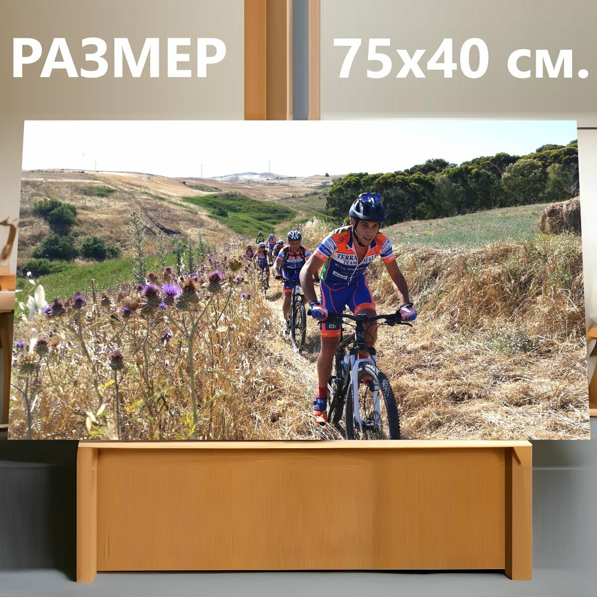 Картина на холсте "Велосипед, кататься на велосипеде, спорт" на подрамнике 75х40 см. для интерьера
