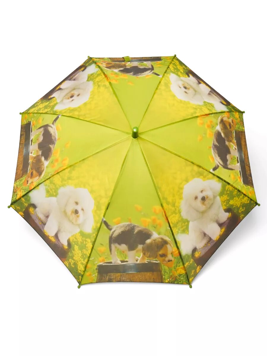 фото Зонт детский