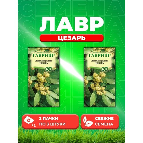 Лавр благородный Цезарь, 3шт, Гавриш, (2уп) семена комнатных цветов гавриш лавр гранат и кофе