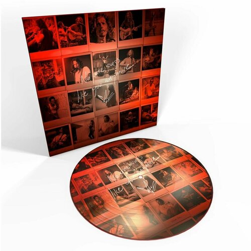 виниловая пластинка chris cornell euphoria morning 0602547408136 Виниловая пластинка Chris Cornell - No One Sings Like You Anymore, LP (Picture Disc)