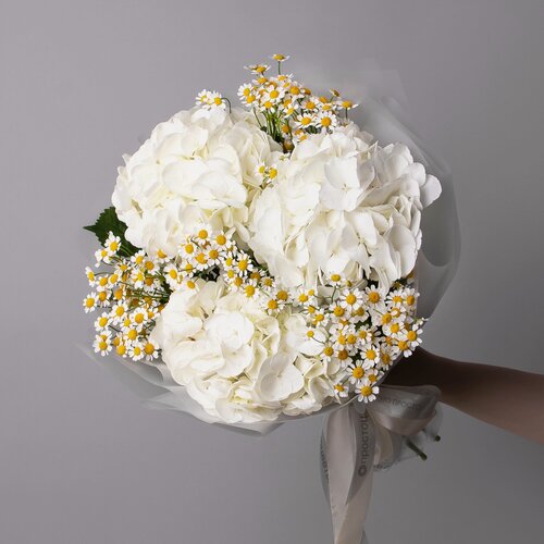 Изображение товара Дуобукет из белой гортензии и ромашки в коробке и аквабоксе от "Простоцветы"