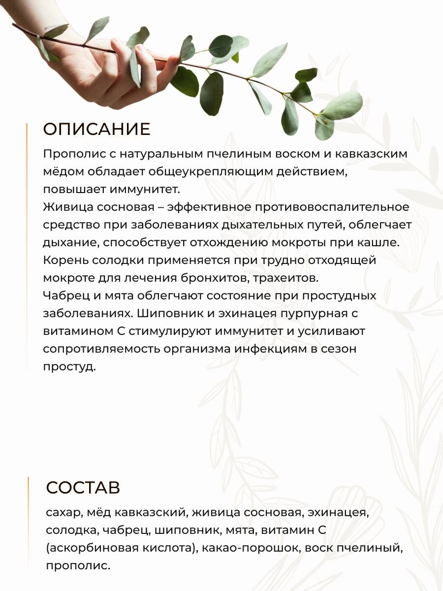 Картинки Драже для Профилактика Орви, повышения иммунитета с живицей сосновой и эхинацеей, Солох-аул, 25 г