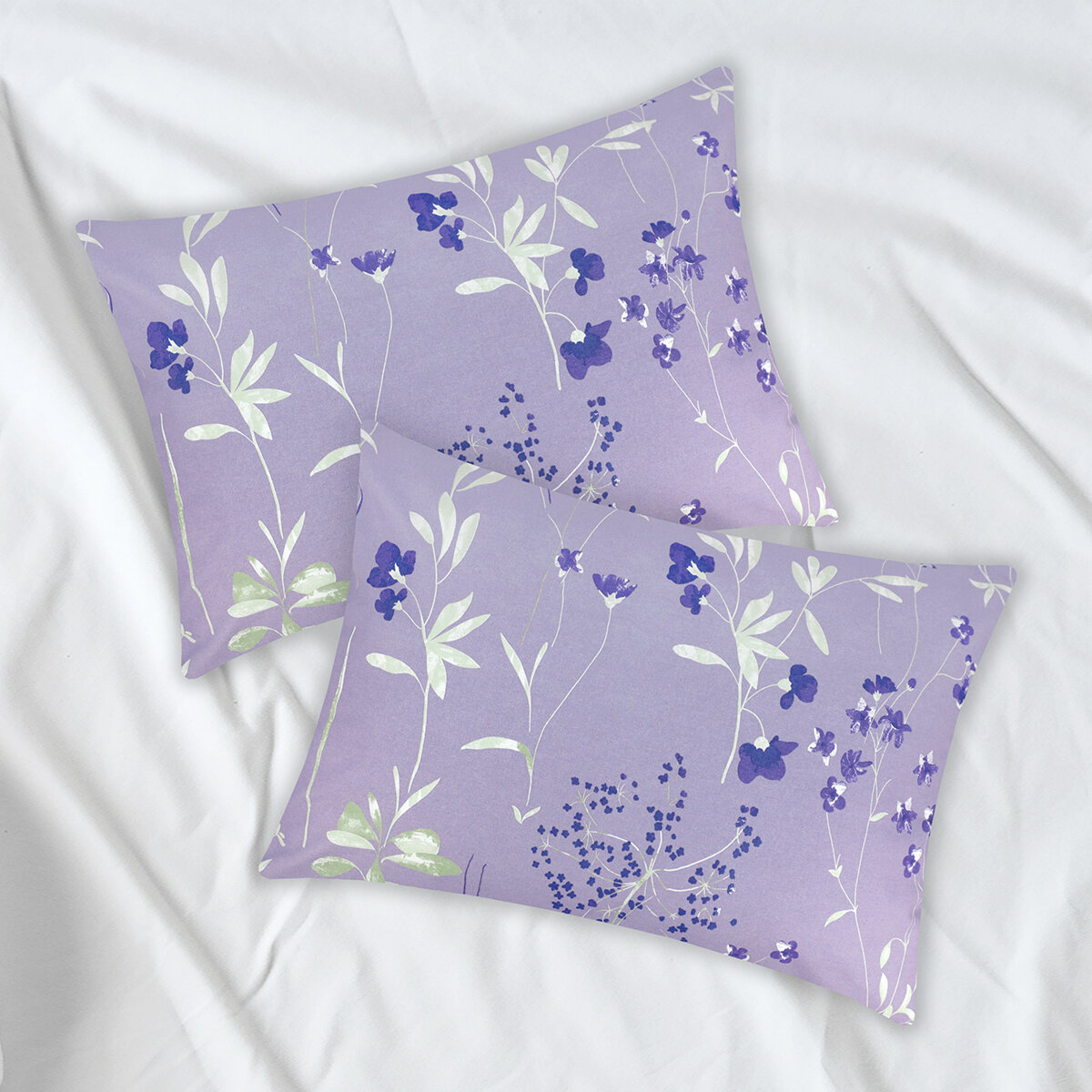 Комплект наволочек 50x70 2 шт  Спал Спалыч Сиано фиолетовый  хлопок  бязь 