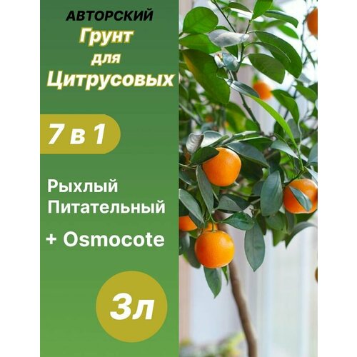 Грунт для Цитрусовых 3л готовый коричневый