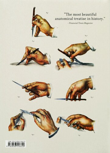 Изображение товара Atlas of Human Anatomy and Surgery