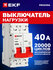Выключатель нагрузки EKF PROxima ВН-63N 40А двухполюсный 2P (руби...
