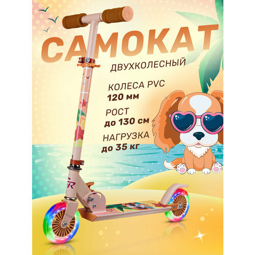 Самокат двухколесный CITYRIDE, складной, колеса PVC 120/120, выдвижной руль, CR-S2-09SDG