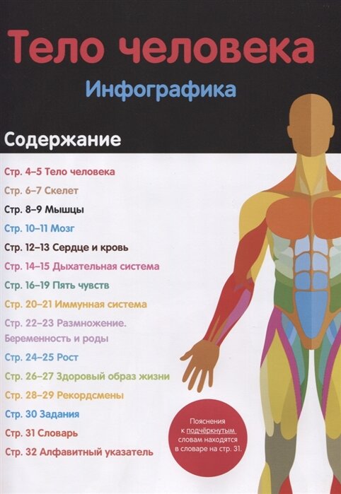 Тело человека. Инфографика (Брандл Харриет) - фото №14