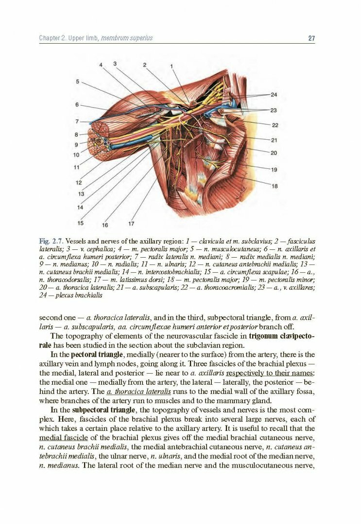 Topographic Anatomy and Operative Surgery. Textbook - фото №2