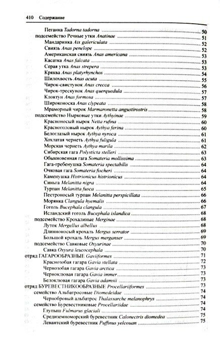Птицы Европейской части России (в 2-х томах) - фото №6