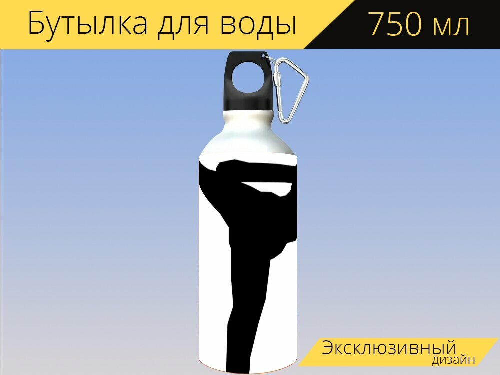 Бутылка фляга для воды "Боевые искусства, муай тай, тайский бокс" 750 мл. с карабином и принтом